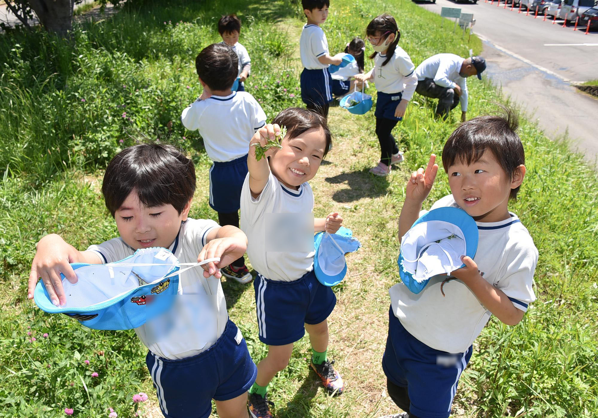 よもぎつみ – 学校法人和敬学苑 むらおか幼稚園